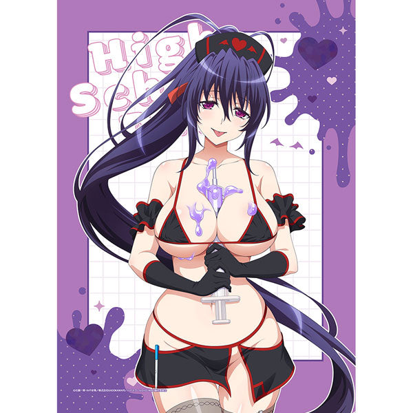 Akeno Himejima / Black Nurse - High School D x D HERO New Illustration B2 Wall Scroll Double Suede